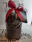 Sachet Grains de Raisins au MUSCADET